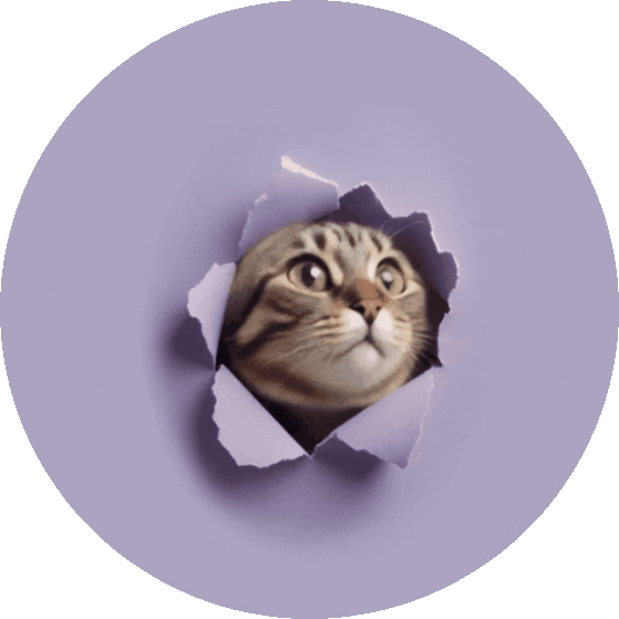 Cat GIF